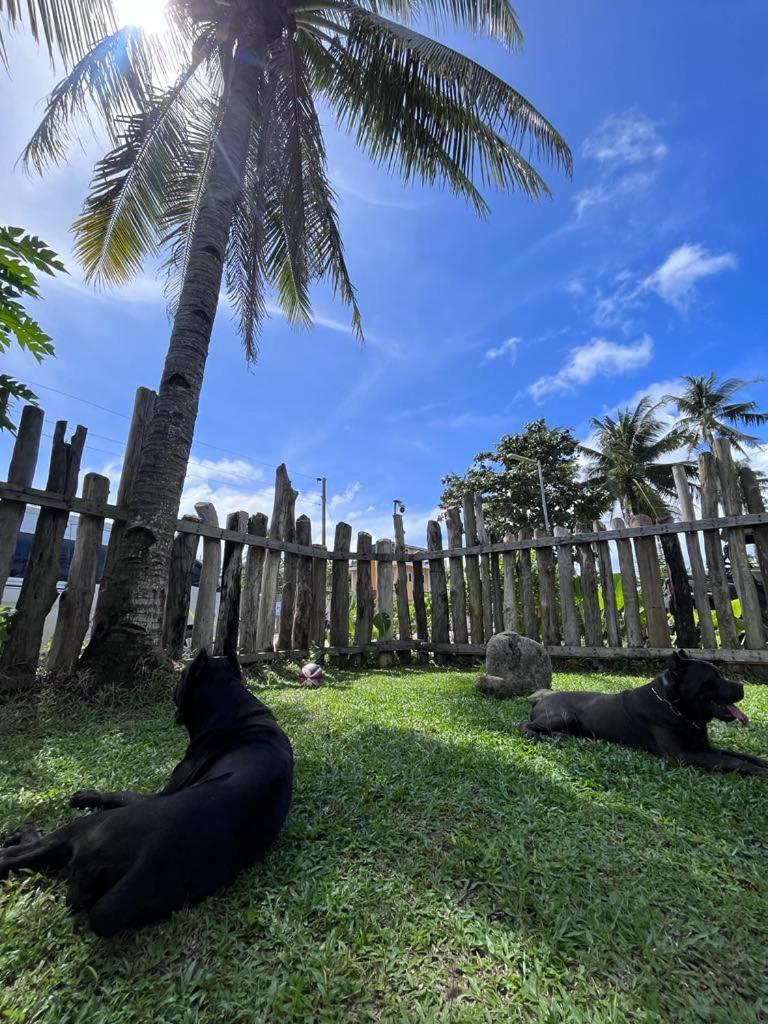 Отель Tabularasa - T Palawan New Agutaya Экстерьер фото